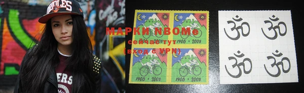 крисы Ельня