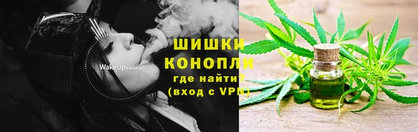 PSILOCYBIN Елизово