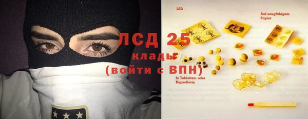 крисы Ельня