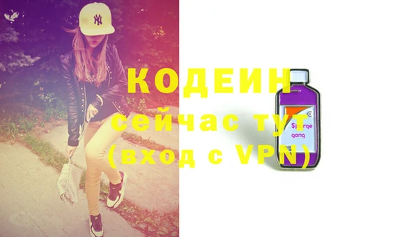 крисы Ельня
