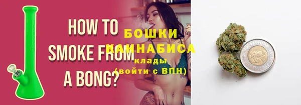 молекула духа Елабуга