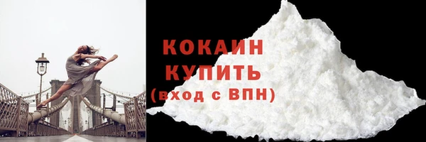 крисы Ельня