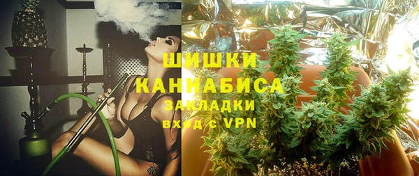 крисы Ельня