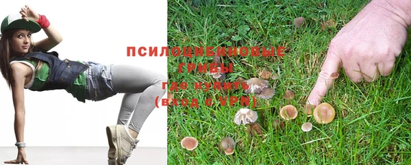 PSILOCYBIN Елизово