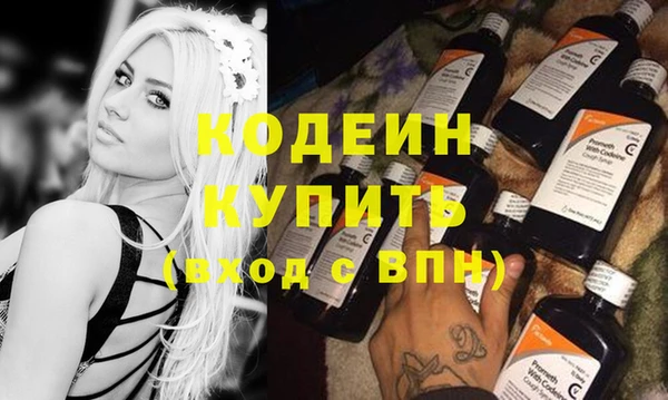 крисы Ельня