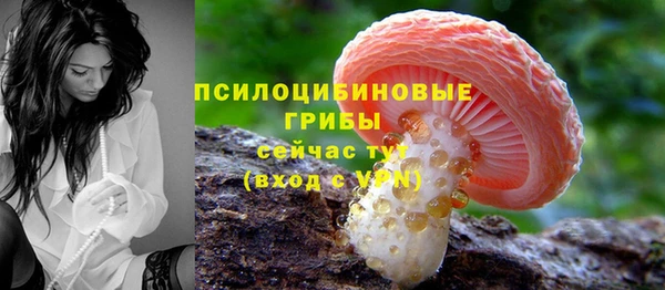 молекула духа Елабуга