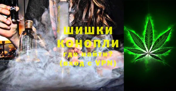 молекула духа Елабуга