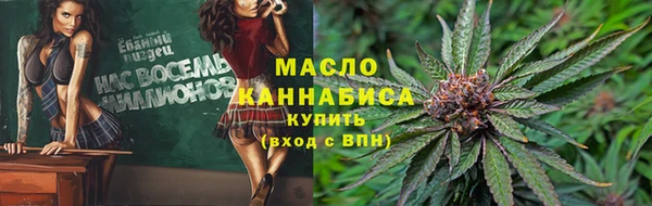 молекула духа Елабуга