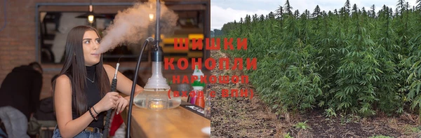 крисы Ельня