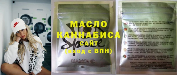 молекула духа Елабуга