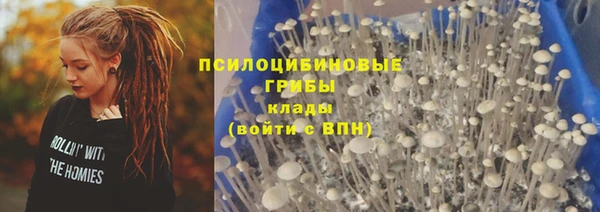 крисы Ельня