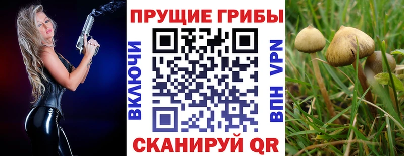Галлюциногенные грибы Magic Shrooms  Купить закладки  Фокино 